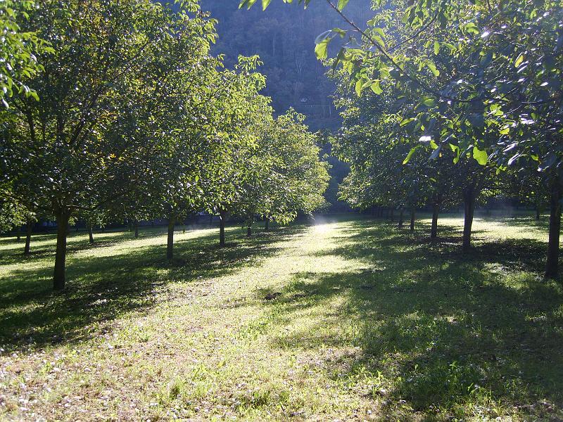 vercors_EB 028.jpg